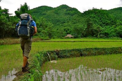 Day Trek to Kuangsi Waterfall and Bear Sanctuary – Luang Prabang full day tour