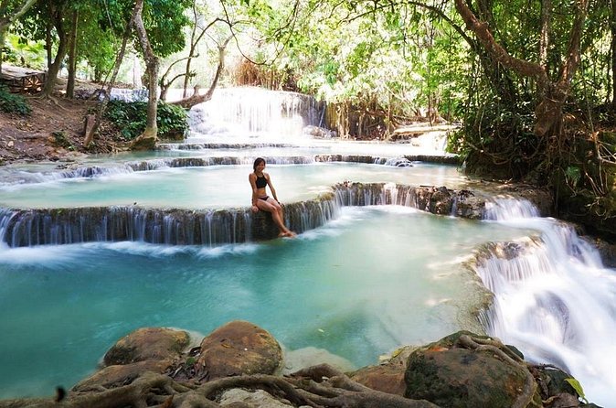 Day Trek to Kuangsi Waterfall and Bear Sanctuary - Luang Prabang full day tour - The Bear Rescue Center adds a worthwhile stop