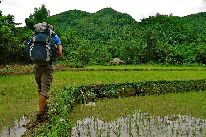 Day Trek to Kuangsi Waterfall and Bear Sanctuary - Luang Prabang full day tour - Leaving Luang Prabang at 8:30 a.m.