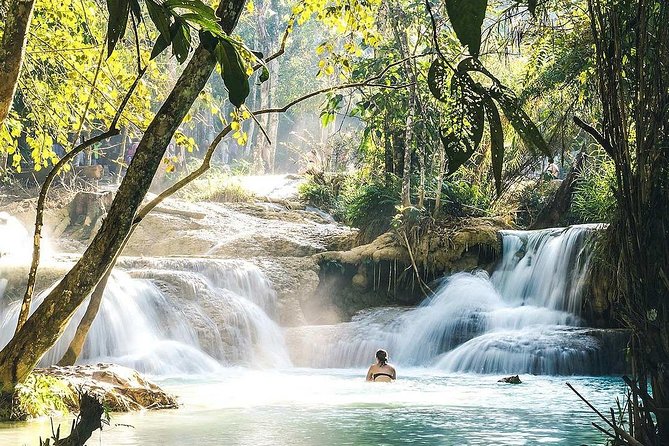 Day Trip to Kuang Si Waterfalls - The forest path and spring restaurant