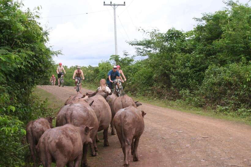 From Luang Prabang: Guided Mountain Bike Tour with Lunch - Key points to know before booking