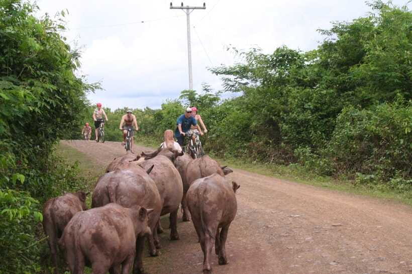 From Luang Prabang: Guided Mountain Bike Tour with Lunch - Should you book the Luang Prabang mountain bike tour?