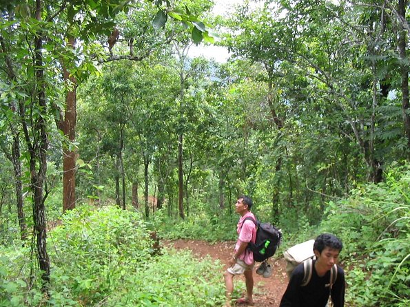 Full Day Trek to Kuang Si Waterfalls, Remote Village - The rice farm connects water, forest, and food