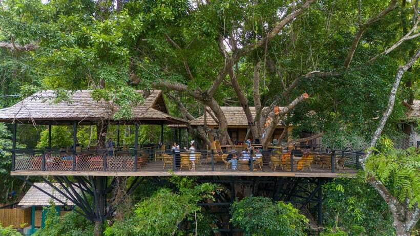 Kuang Si Waterfall, Tree Top Cafe, Ziplining - Key points to know before you book