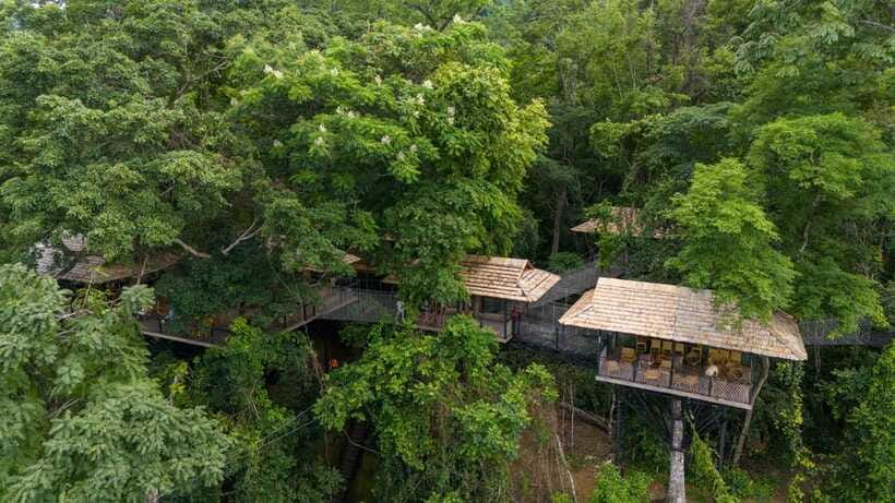 Kuang Si Waterfall, Tree Top Cafe, Ziplining - The 542 steps to The View