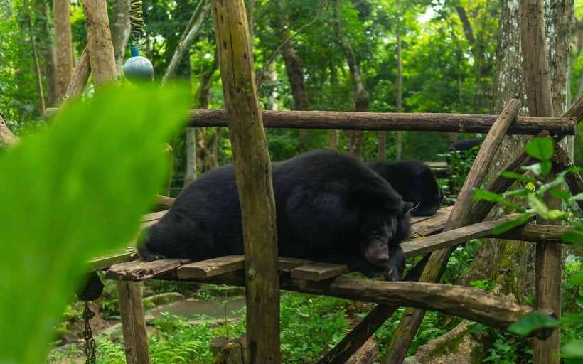 Kuang Si Waterfall, Tree Top Cafe, Ziplining - Coffee at the cafe above the falls