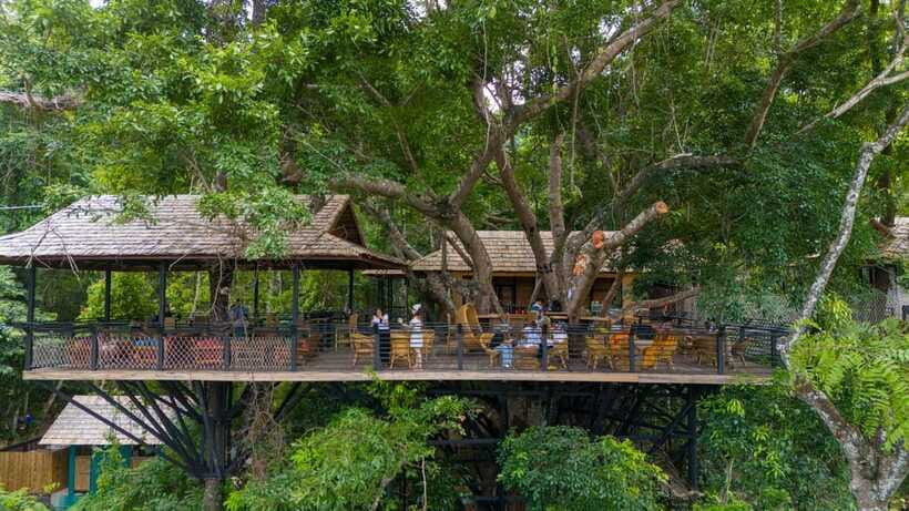 Kuang Si Waterfall, Tree Top Cafe, Ziplining - Five ziplines over the falls