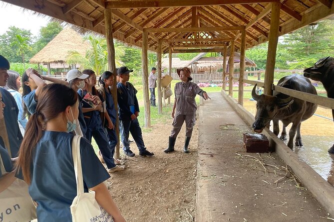 Laos Buffalo Dairy Tours Interact, Learn and Taste Fresh Flavors - Is $14 a fair price?