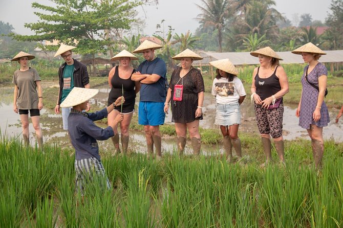 Living Land Rice Farming Experience - Who will enjoy it most