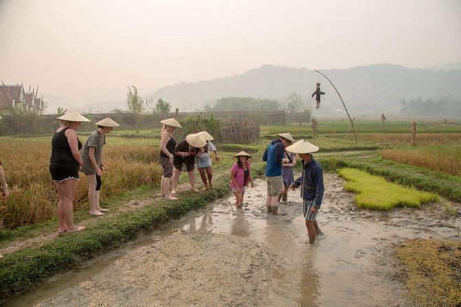 Living Land Rice Farming Experience - Getting muddy in the rice field