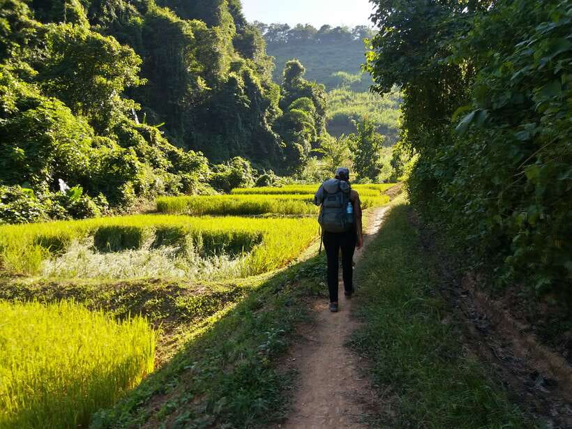 Luang Prabang: 3-Day Cultural Remote Trek With Homestay - What $360 covers, and where the value lies