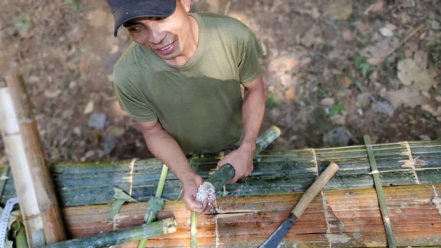 Luang Prabang: Bamboo Forest Cooking-class & Farm Visit - Comfort, Clothing, and Physical Demands