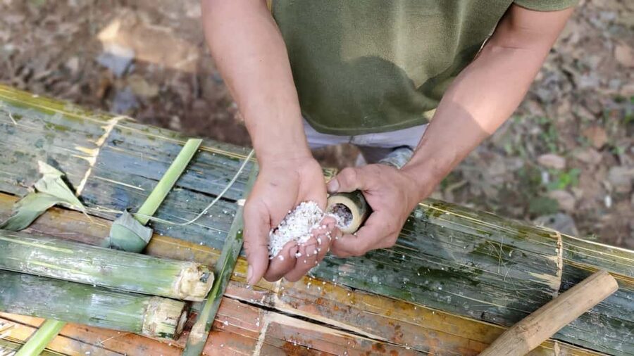 Luang Prabang: Bamboo Forest Cooking-class & Farm Visit - Who Will Enjoy This Most