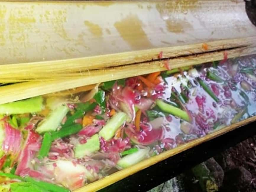 Luang Prabang: Bamboo Forest Cooking-class & Farm Visit - Starting at the Farm in the Morning