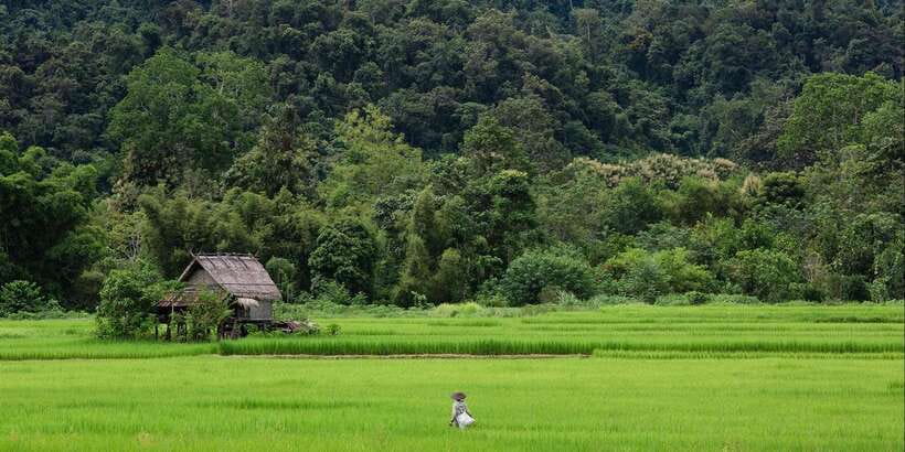 Luang Prabang: Countryside Mountain Bike Tour with Lunch - Wat Phon Phao rewards the final climb