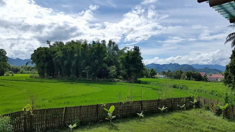 Luang Prabang: Evening Cooking Class & Local Baci Ceremony - Who should book this experience