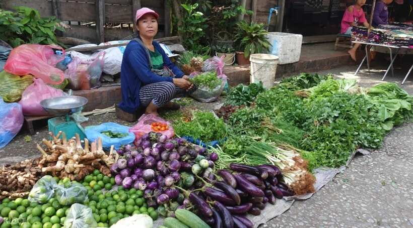 Luang Prabang: Foodie Walking Tour & Monk Blessing - Five things to know before you book