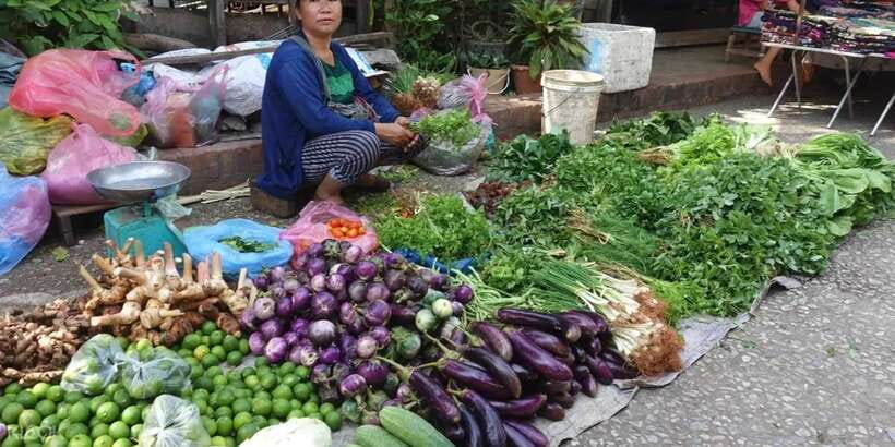 Luang Prabang: Foodie Walking Tour & Monk Blessing - What the $50 price gets you