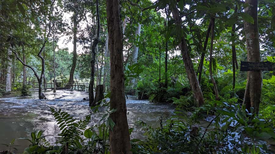 Luang Prabang: Full Day Trek to Kuang Si Waterfall & Village - Why take the long way to Kuang Si?