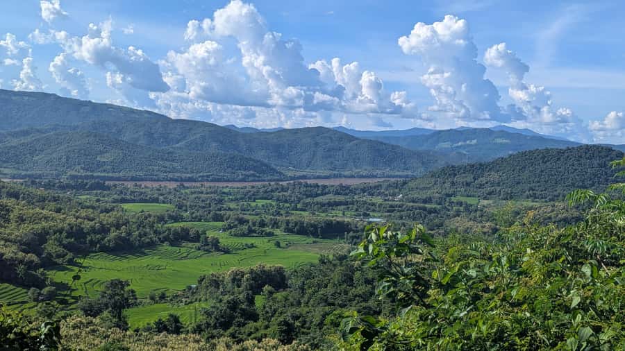 Luang Prabang: Full Day Trek to Kuang Si Waterfall & Village - Four hours through paddies, orchards, and forest