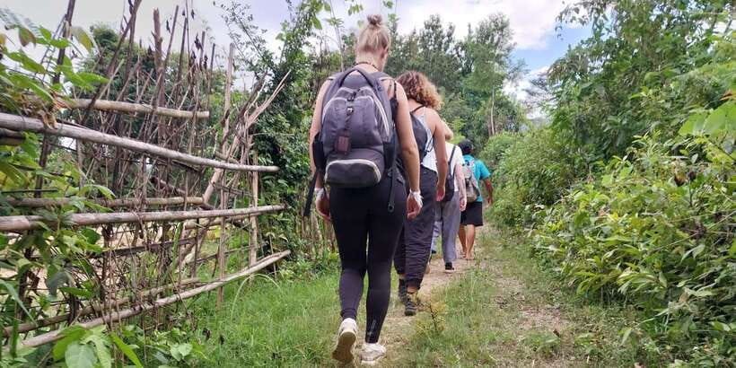 Luang Prabang: Hiking Off the Beaten Track with Picnic Lunch - Farm plots, herbs, and everyday village knowledge