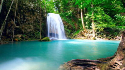 Luang Prabang: Local Village & Kuang Si Falls Private Tour