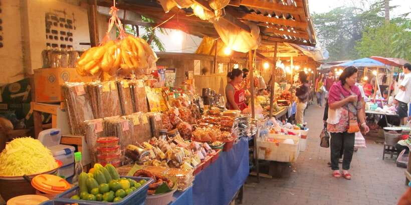 Luang Prabang: Local Village & Kuang Si Falls Private Tour - Who will enjoy this private excursion most
