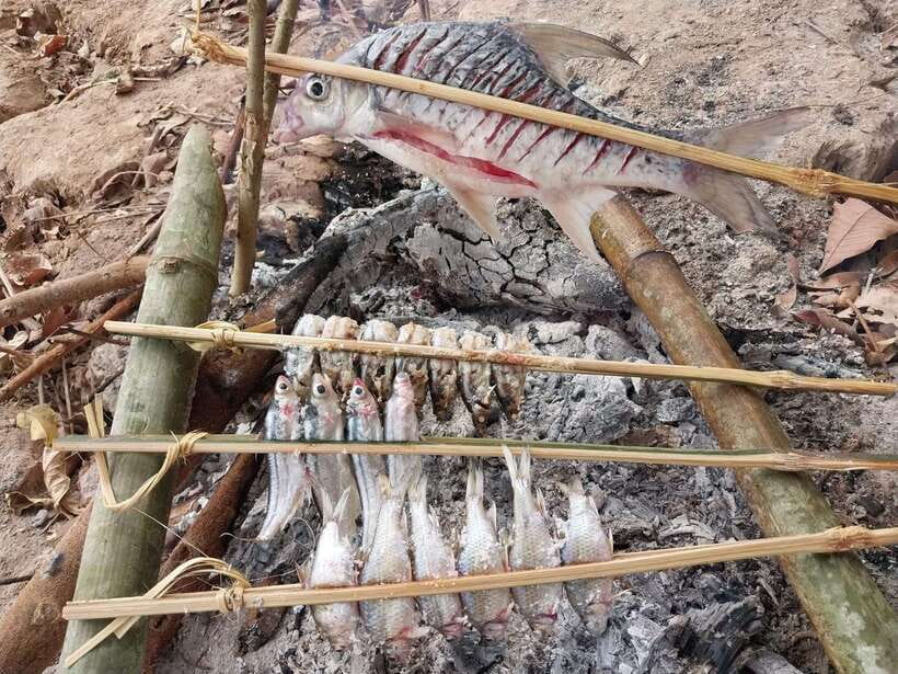Luang Prabang: Mekong Fishing with a Local Fisherman & Lunch - Why this Mekong outing feels different