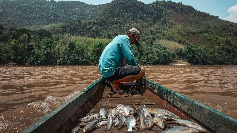 Luang Prabang: Mekong Fishing with a Local Fisherman & Lunch - Cruising through the Mekong scenery
