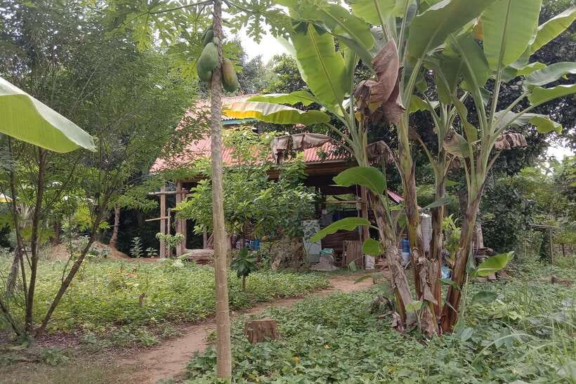 Luang Prabang: Organic Farm Experience & Hike to Kuang si - Key points to know before booking