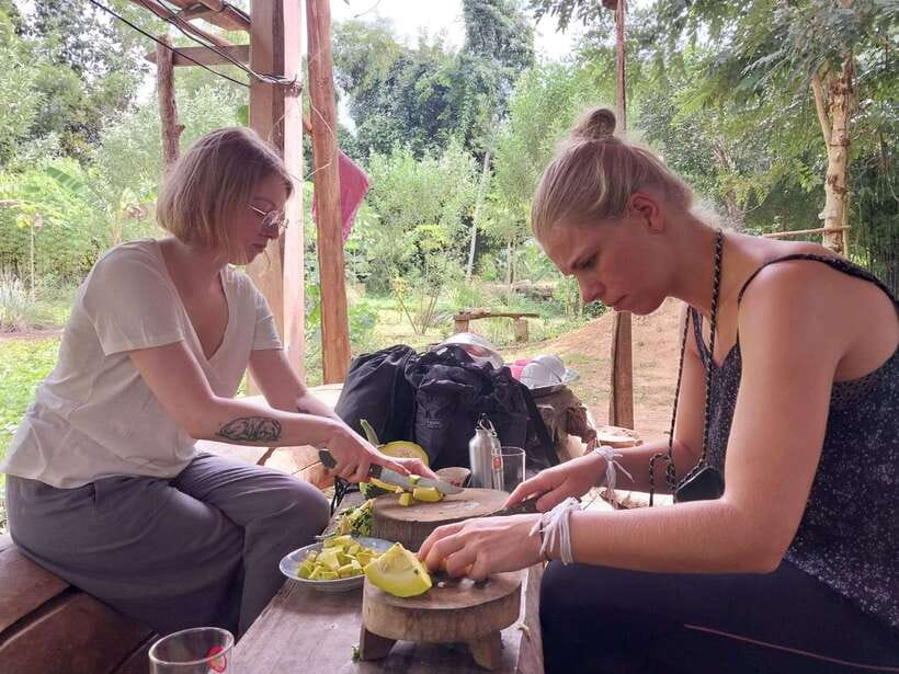 Luang Prabang: Organic Farm Experience & Hike to Kuang si - Why this full-day combination works
