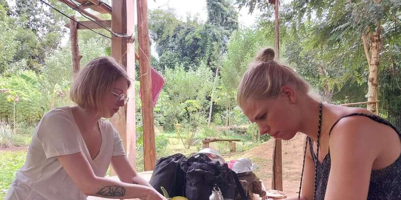 Luang Prabang: Organic Farm Experience & Hike to Kuang si - Cooking a four-course Lao lunch