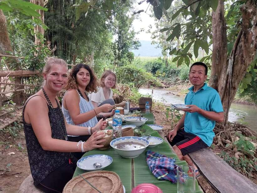 Luang Prabang: Organic Farm Experience & Hike to Kuang si - Meeting bears rescued from the trade