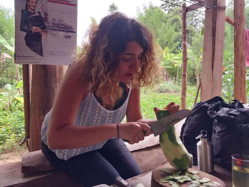Luang Prabang: Organic Farm Experience & Hike to Kuang si - What the $79 price includes
