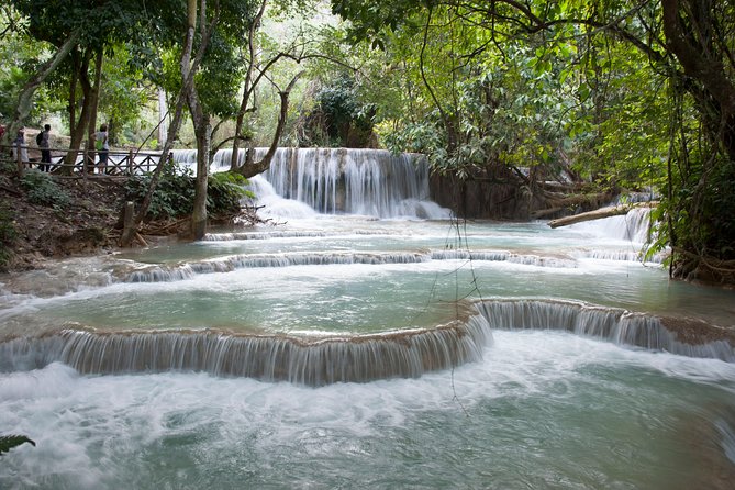 Luang Prabang Private Minivan - Tad Sae, butterfly farms, and extra time