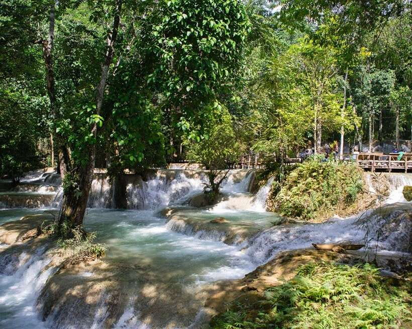 Luang Prabang Thin Pha Trail & Tad Sae Falls Trek - From rice paddies into the forest