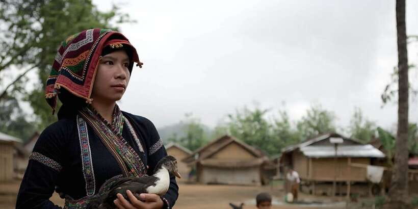 Luang Prabang Thin Pha Trail & Tad Sae Falls Trek - Who should book this trek
