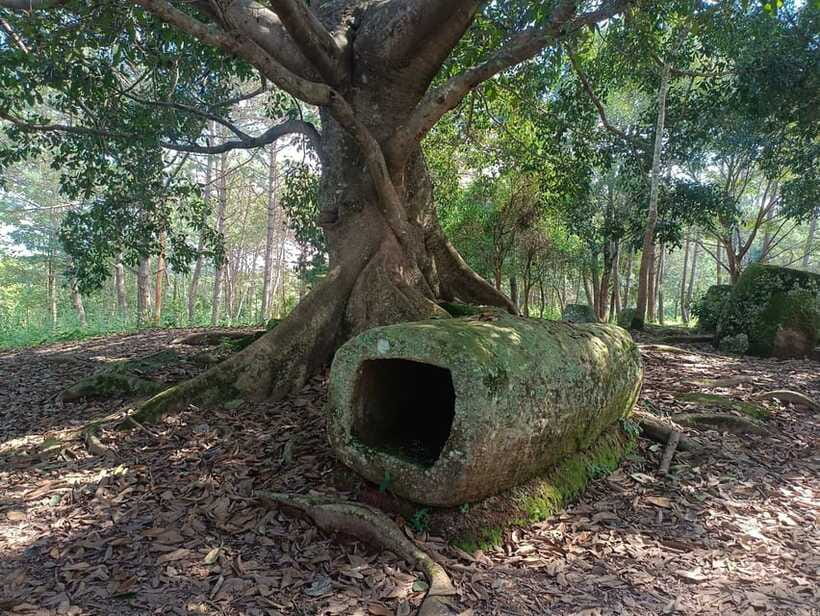 Plain of jars private tour - Site 1, the largest field with 334 jars