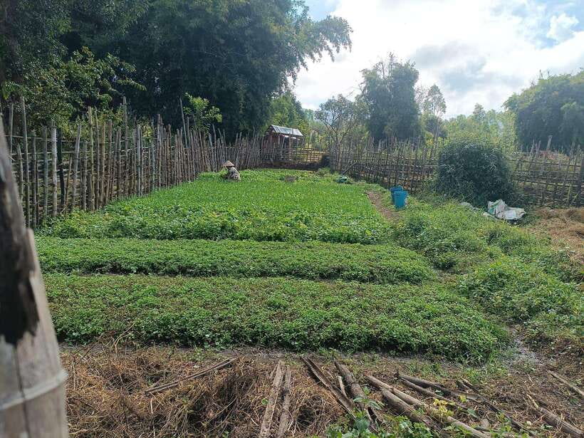 Plain of jars share group tour - Rain, footwear, and other practical details