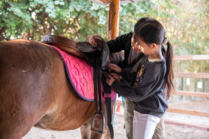 Pony Riding in Luang Prabang - Key points at a glance