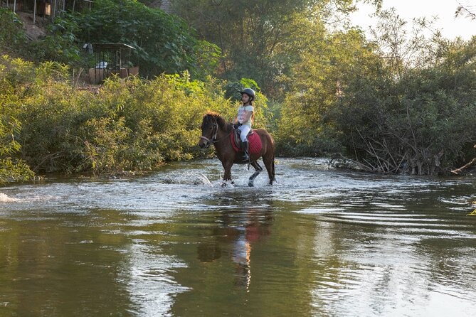 Pony Riding in Luang Prabang - Why this ride feels different from a standard pony outing