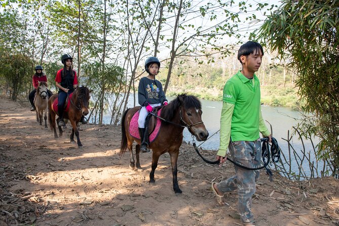 Pony Riding in Luang Prabang - What the small group changes