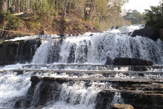 Private Tour Full-day Morning Market, Villages and Scenic Kuang Si Waterfall - The Tat Kuang Si Bear Rescue Centre adds a worthwhile pause
