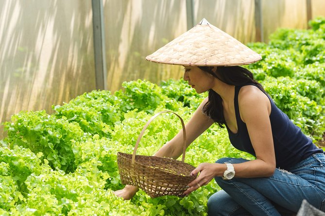 The Namkhan - Cooking Class - Cooking Lao food with a local chef