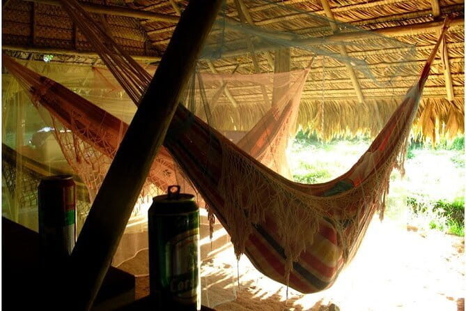 Unwind with a Sunset Cruise on the Mekong River - Sunset light, photographs, and the open deck