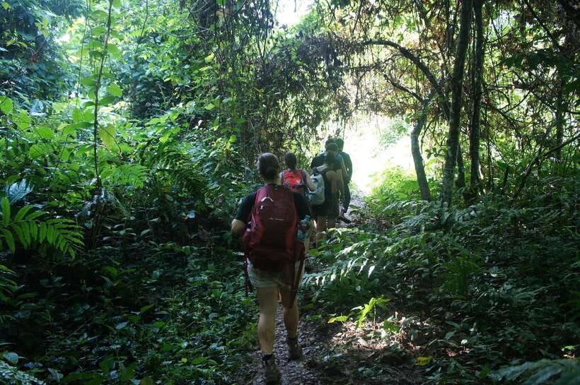 Vang Vieng: Jungle & Caves Full-Day Private Trekking Tour - A 9 a.m. start from Vang Vieng