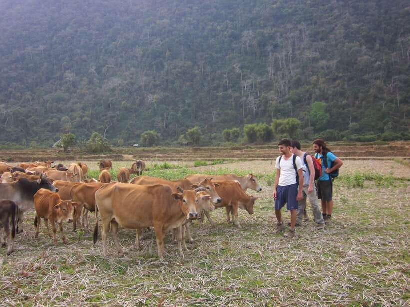 Vang Vieng: Jungle & Caves Full-Day Private Trekking Tour - Inside Tham Hok Cave