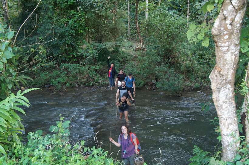 Vang Vieng: Jungle & Caves Full-Day Private Trekking Tour - The guides can make or break the day