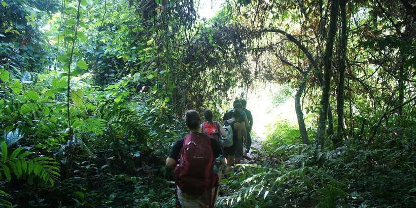 Vang Vieng: Jungle & Caves Full-Day Private Trekking Tour - Booking flexibility and timing